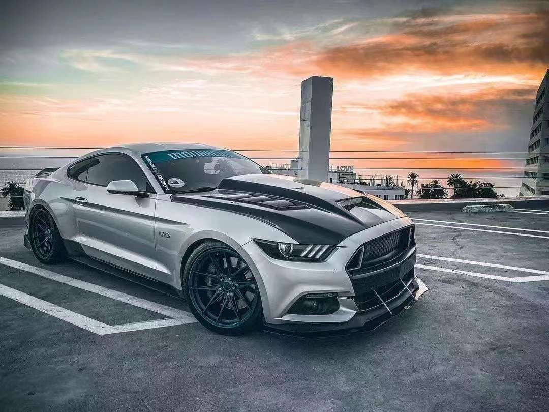 Ford Mustang TF Carbon Fiber Hood